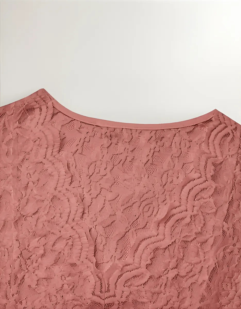Fitted Lace V-Neck Short Sleeve Top