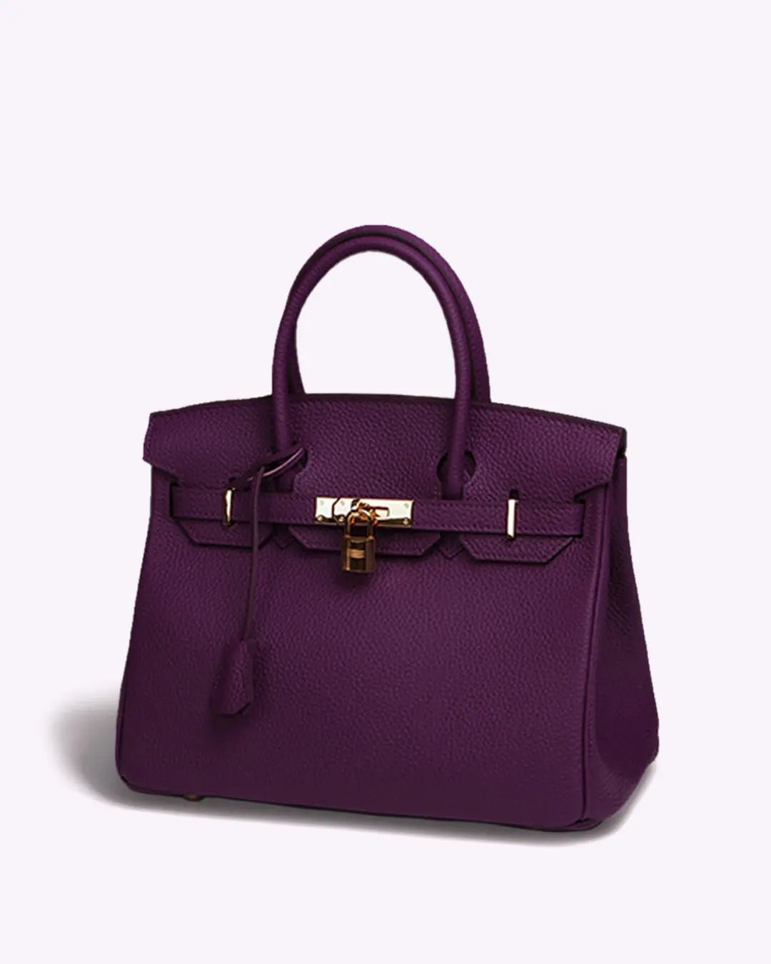Leather Structured Shoulder Handbag