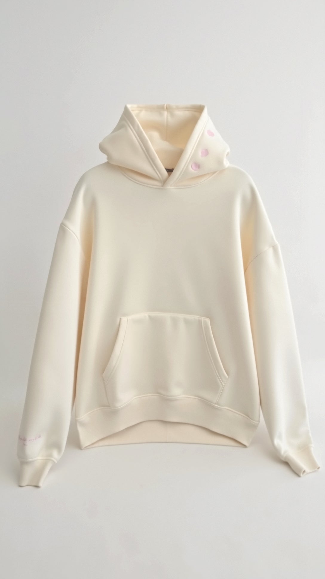 Embroidered Oversized Hooded Sweatshirt