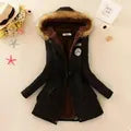 Hooded Insulated Puffer Jacket With Zip Pockets