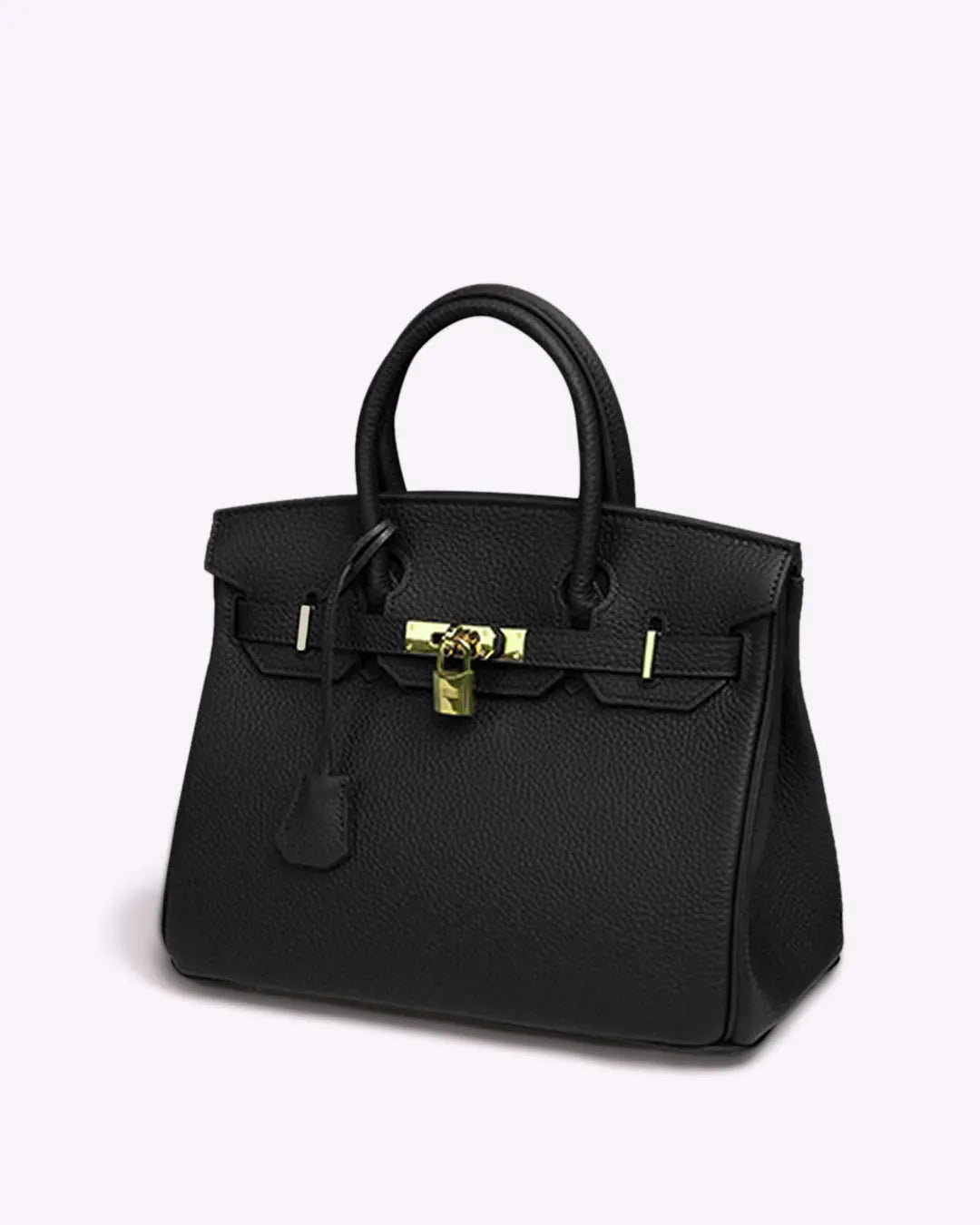 Leather Structured Shoulder Handbag