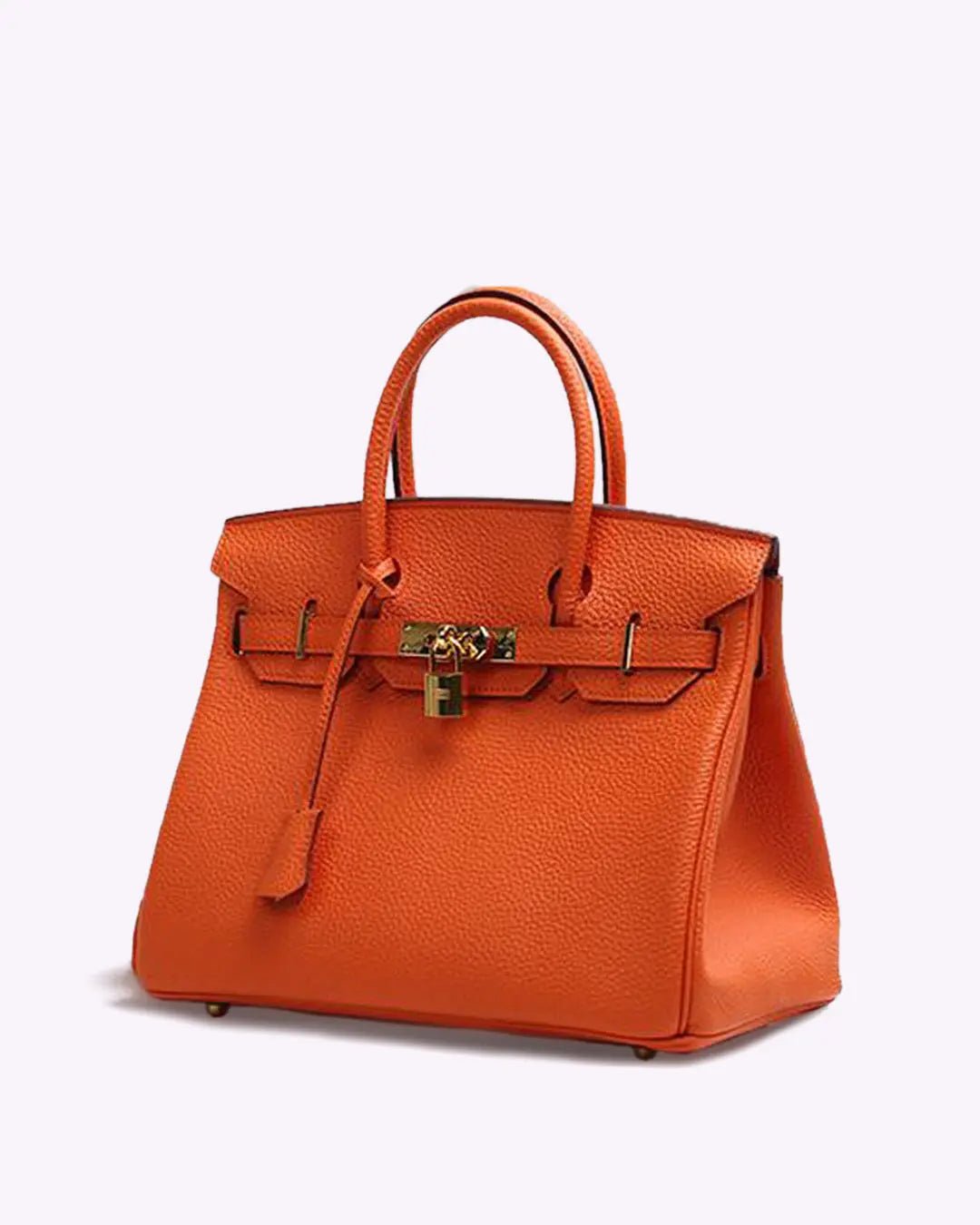 Leather Structured Shoulder Handbag