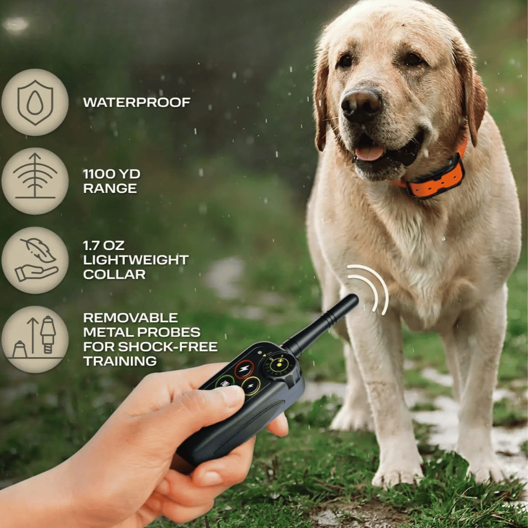 Long Range Waterproof Dog Training E-Collar